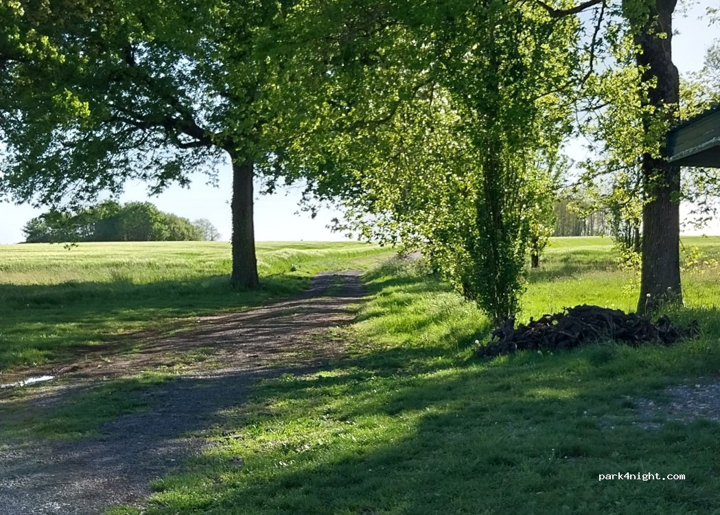 (17120) Brie-sous-Mortagne - Unnamed Road — foto 3