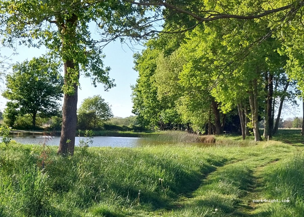 (17120) Brie-sous-Mortagne - Unnamed Road — foto 4