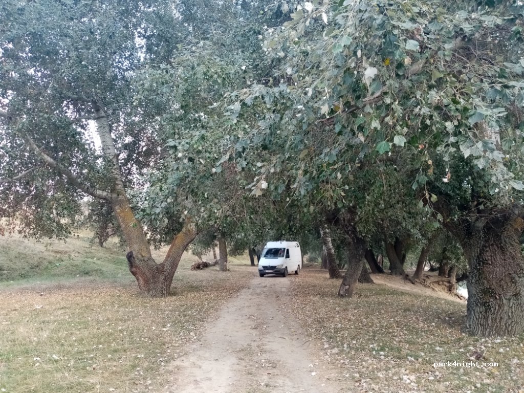 () Pogănești - Unnamed Road — foto