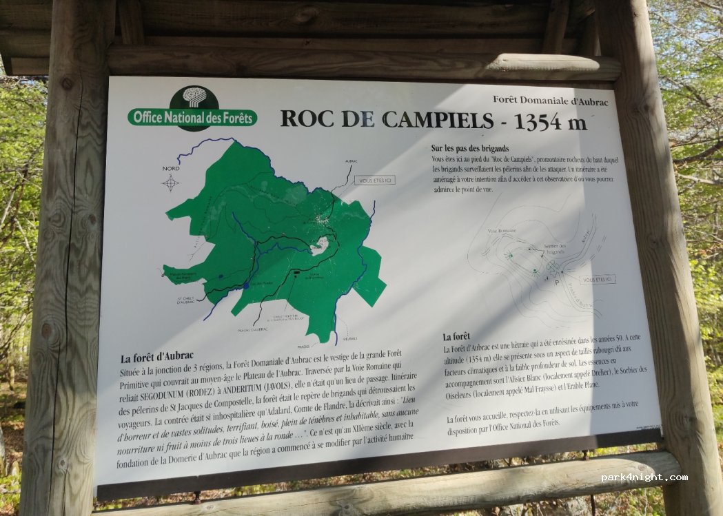(12470) Prades-d'Aubrac - D219 — foto 2