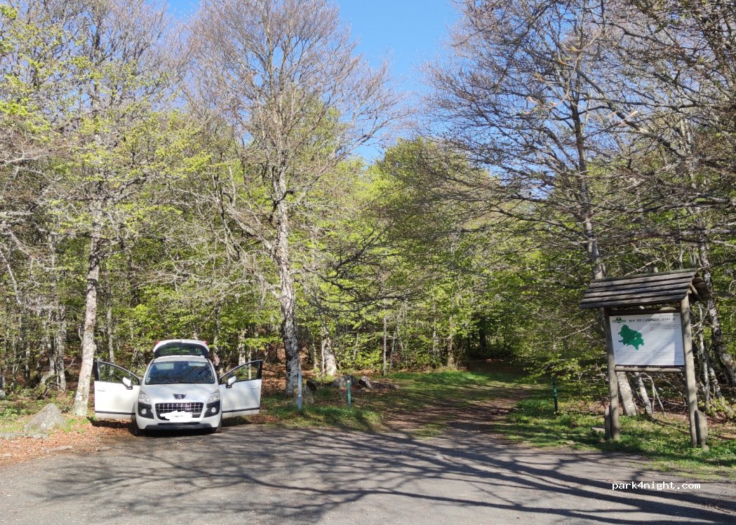(12470) Prades-d'Aubrac - D219 — foto 3