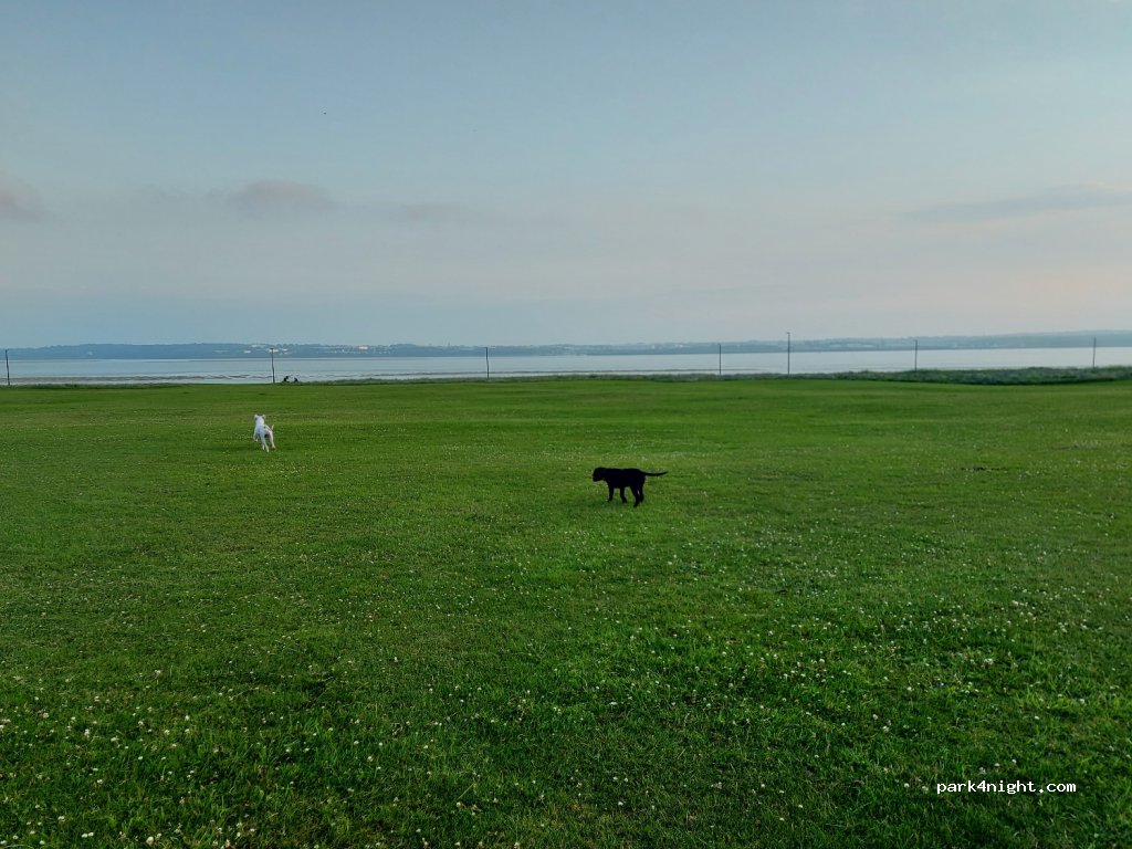 (L17 5AL) Liverpool - Otterspool Drive — foto