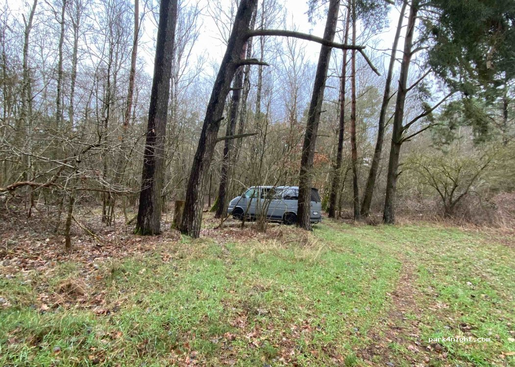 (16945) Kümmernitztal - Unnamed Road — foto 3