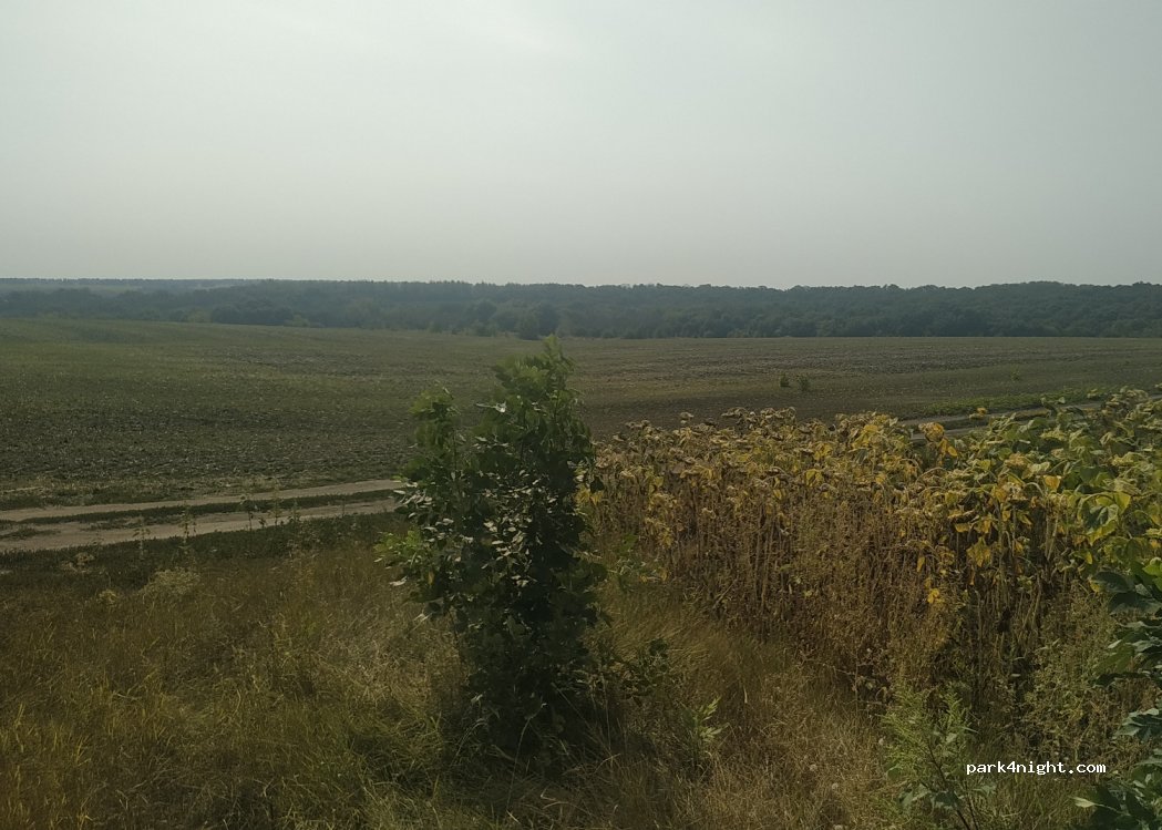 (397723)  - Unnamed Road — foto 3