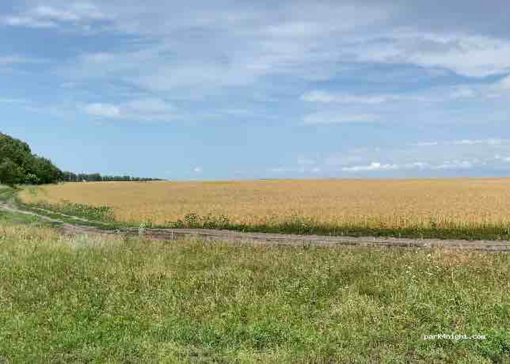 (397723)  - Unnamed Road — foto 4