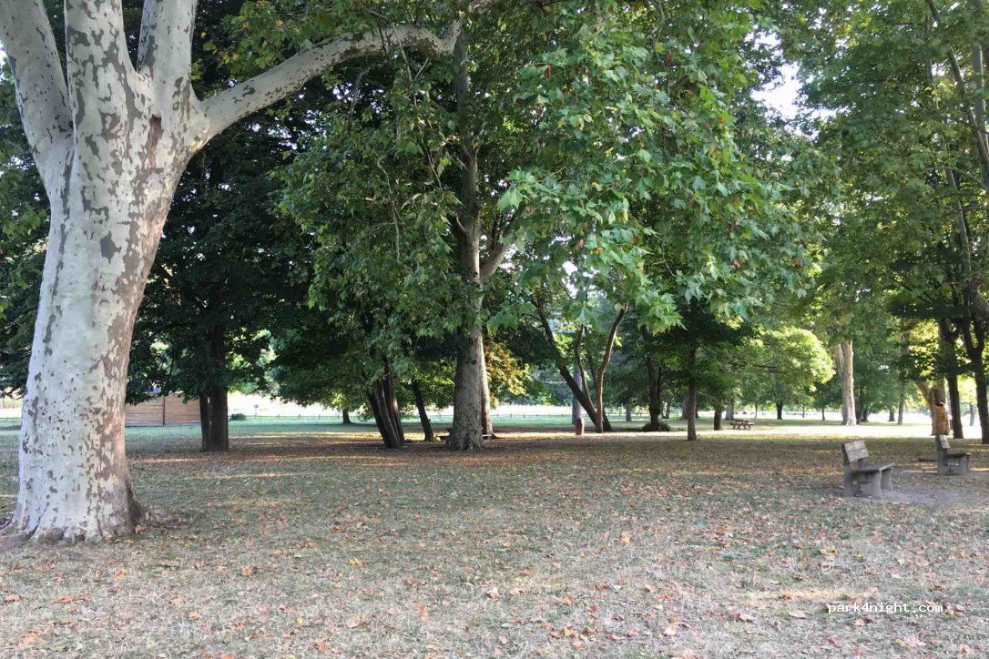 (69420) Saint-Cyr-sur-le-Rhône - Cumelle — foto 2