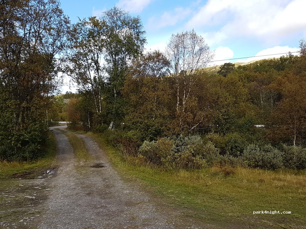 (2540)  - 3 Primær Fylkesveg 26 — foto 4