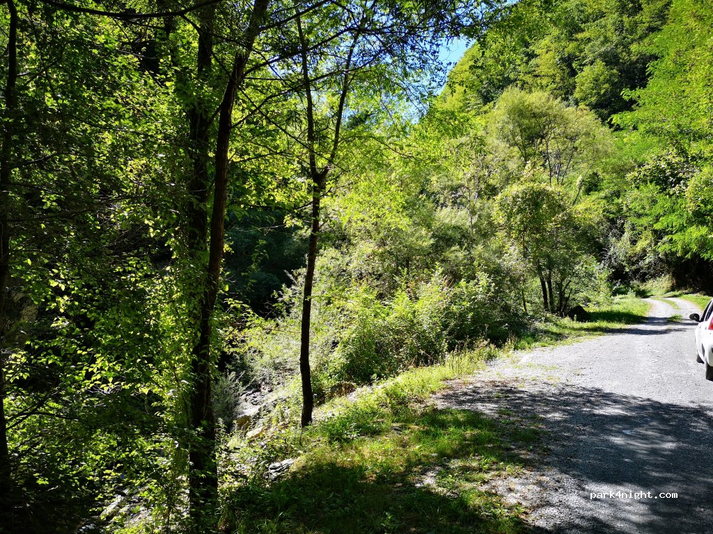 (55030) Careggine - Strada Provinciale di Arni — foto 2