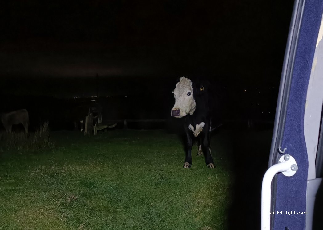 (SA18 2PN) Ammanford - Unnamed Road — foto 5