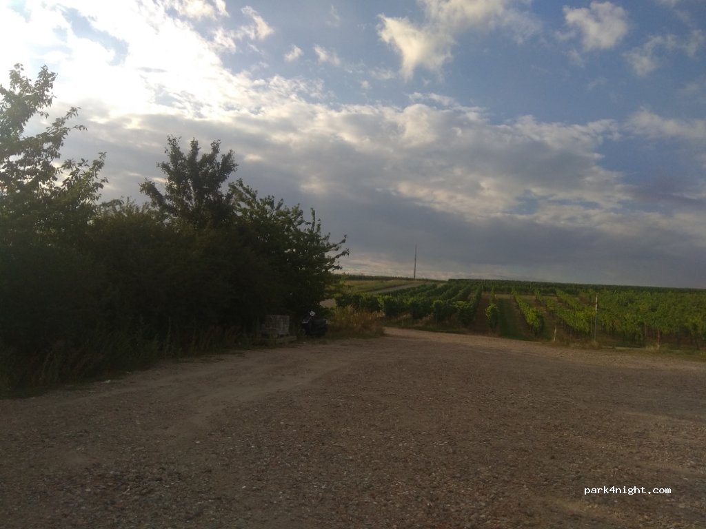 (67273) Weisenheim am Berg - 30 Leistadter Straße — foto