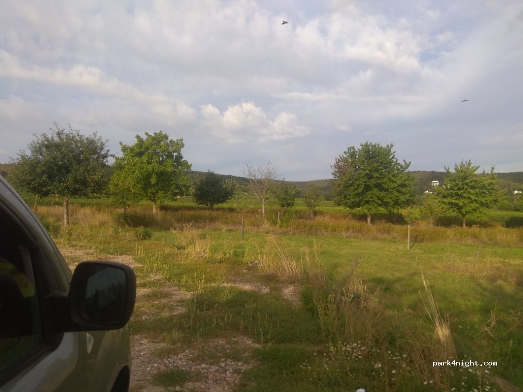(67273) Weisenheim am Berg - 30 Leistadter Straße — foto 2