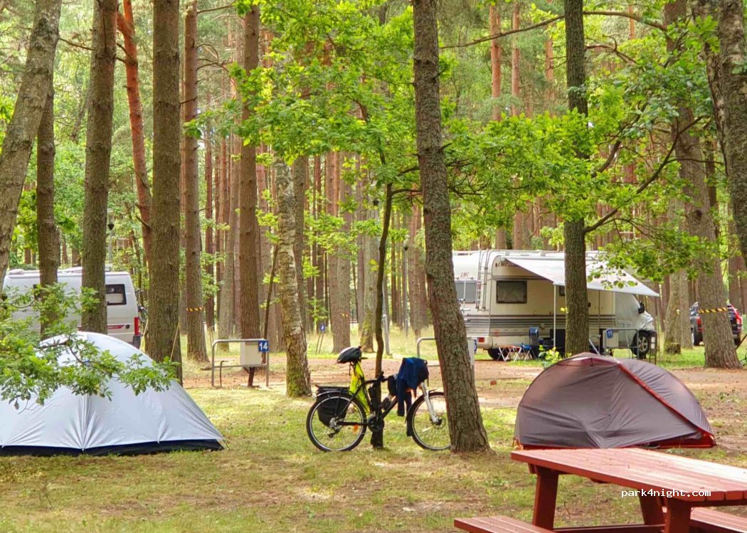 Camping Pajurio Kempingas — foto