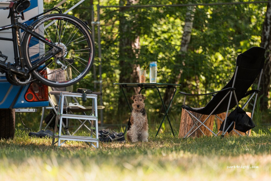 Natur Camp Birštonas — foto
