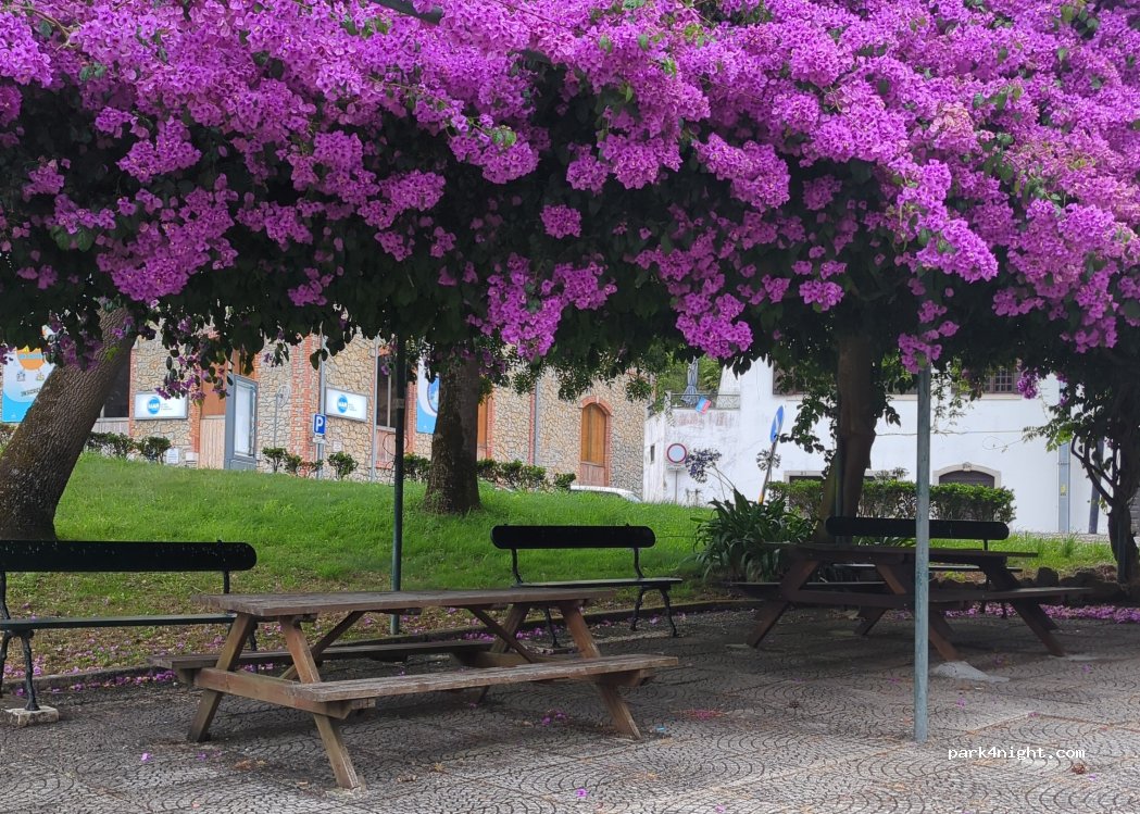 (2710) Sintra - 67 Rua Entre Quintas — foto 3