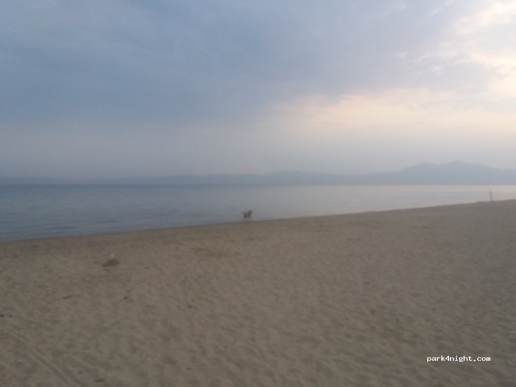 (570 19)  - 125 Oikonomiou — foto