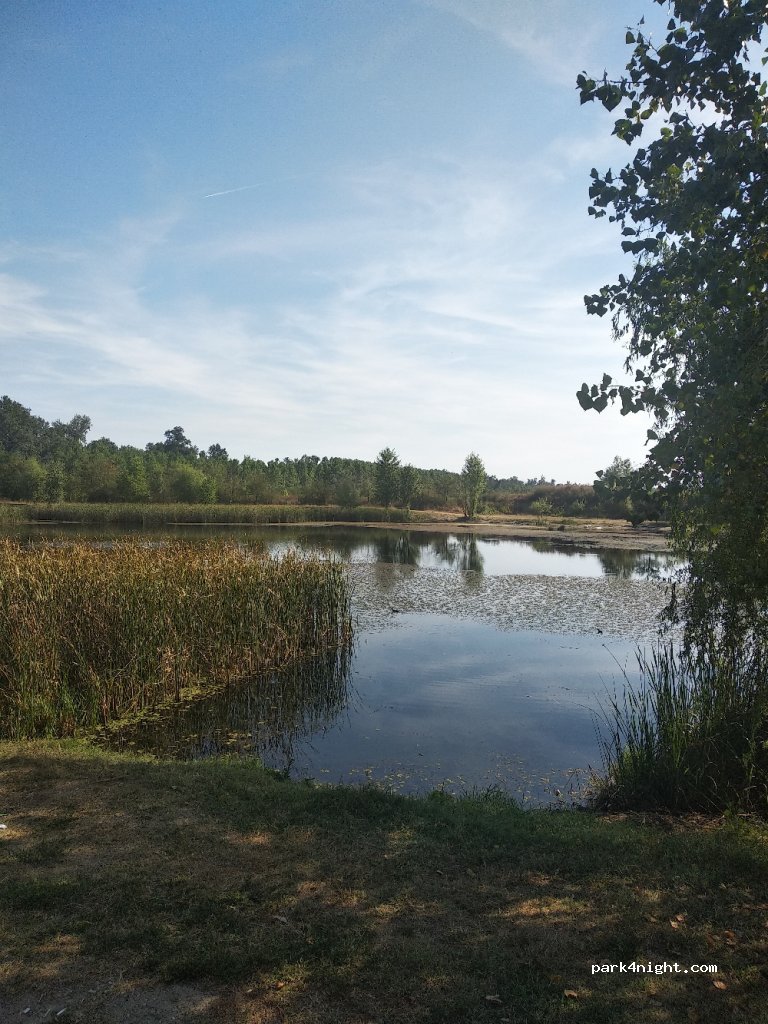 (317130)  - Unnamed Road — foto