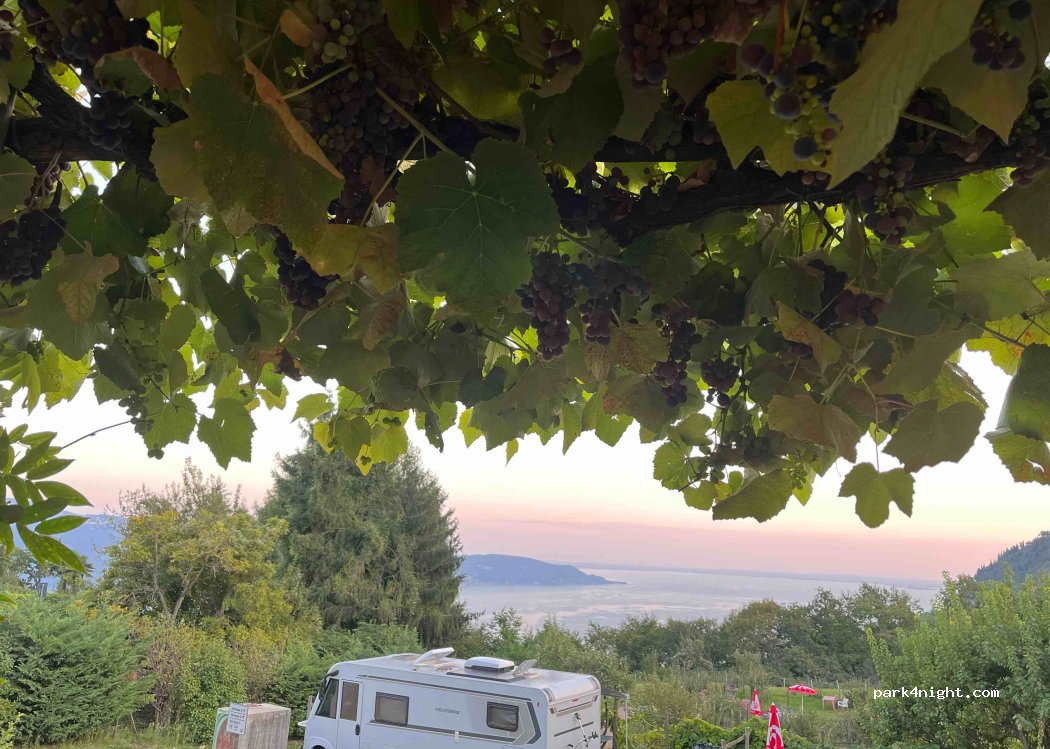 Camping Giglio Roberto Piccinni — foto 4