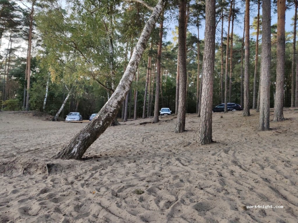 (86) Prądocin - Czarny Szlak — foto 2