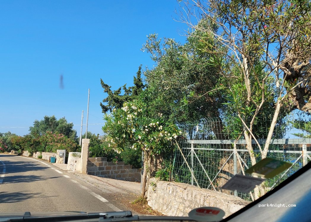 Campeggio Il Ponte — foto 3