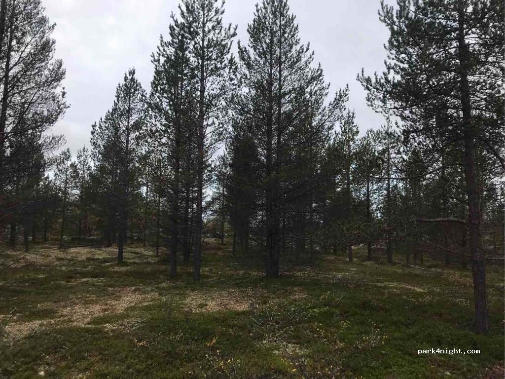 (99930) Enare - Unnamed Road — foto