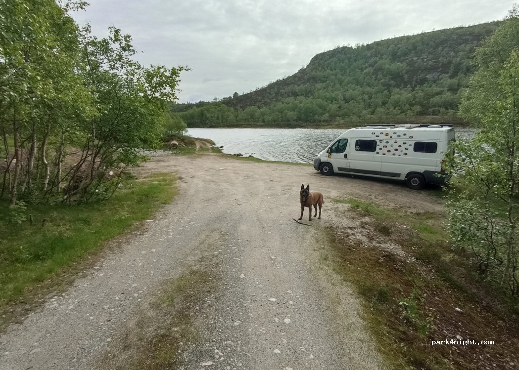 (4443)  - Sekundær Fylkesveg 975 — foto 3