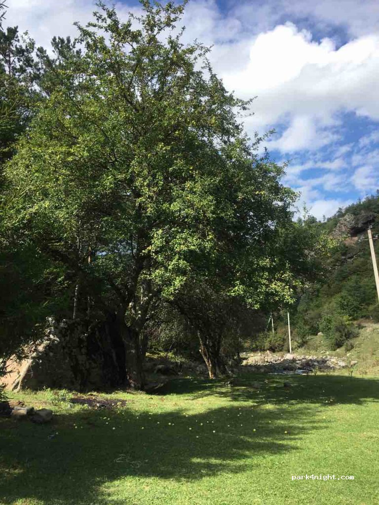 () Dviri - Dviri-Sakire — foto 3