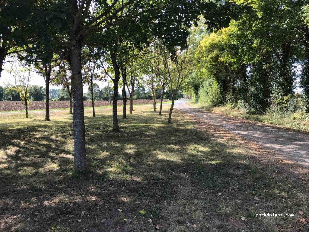 (79360) Plaine-d'Argenson - D117 — foto 2