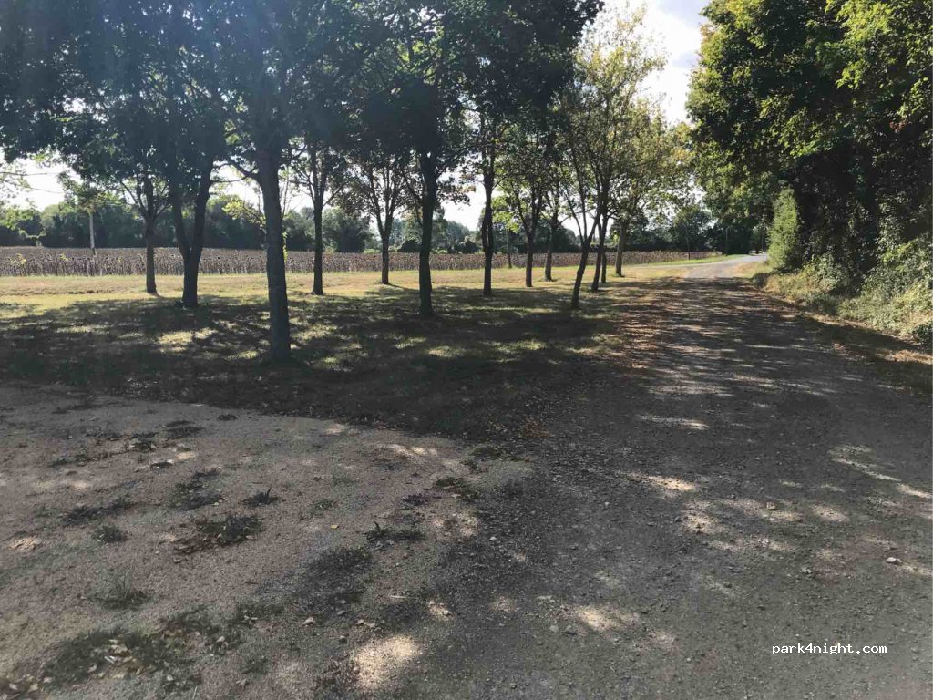 (79360) Plaine-d'Argenson - D117 — foto 3