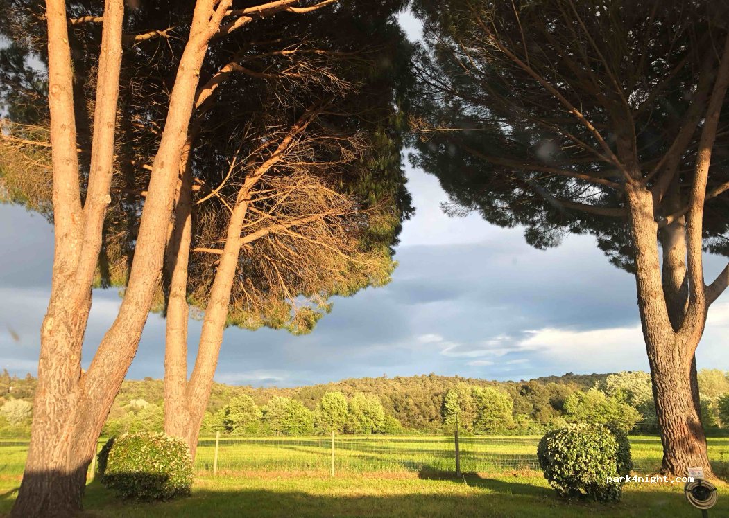 Camping de Vaudois — foto 2