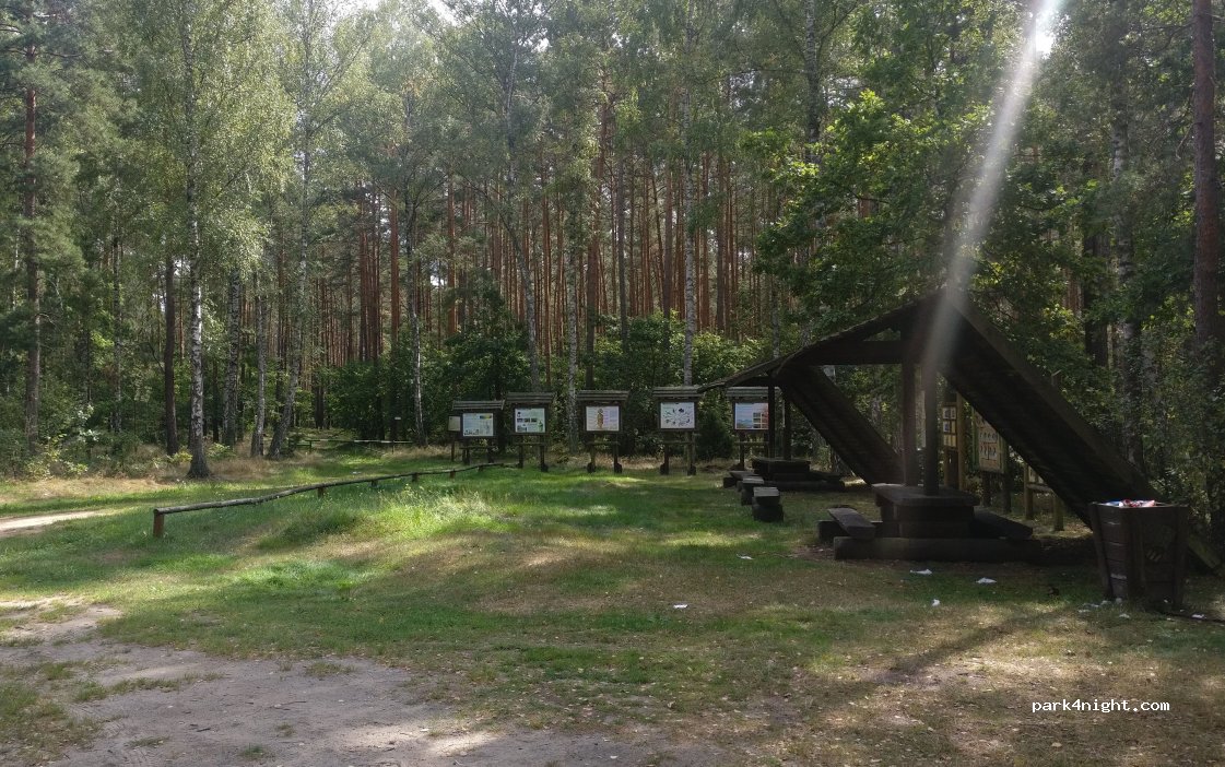 (06-232) Sewerynowo - Droga Krajowa 60 — foto
