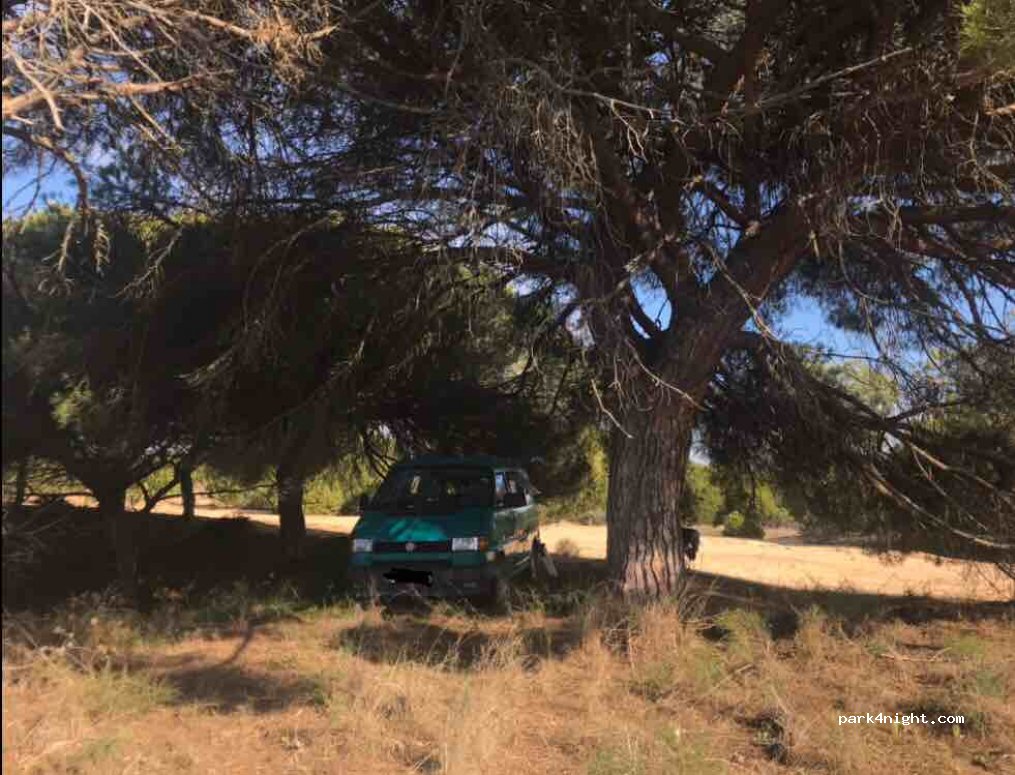 (8005) Faro - Unnamed Road — foto 3