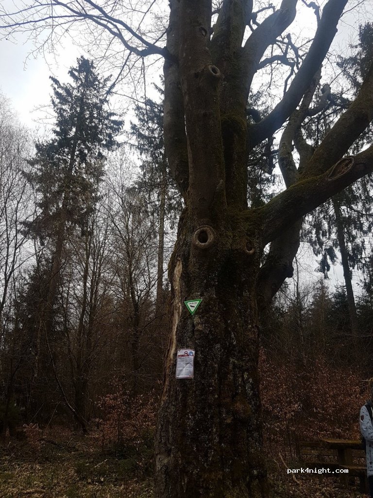 (63639) Flörsbachtal - L2905 — foto 3