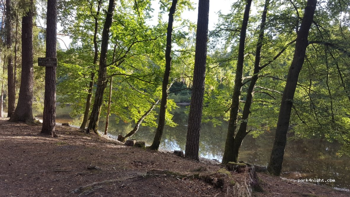 (63831) Flörsbachtal - L2905 — foto 2