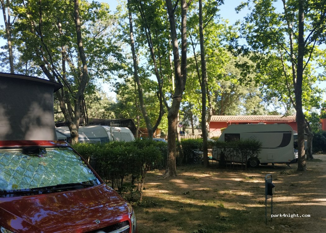 Camping El Pinajarro — foto 3