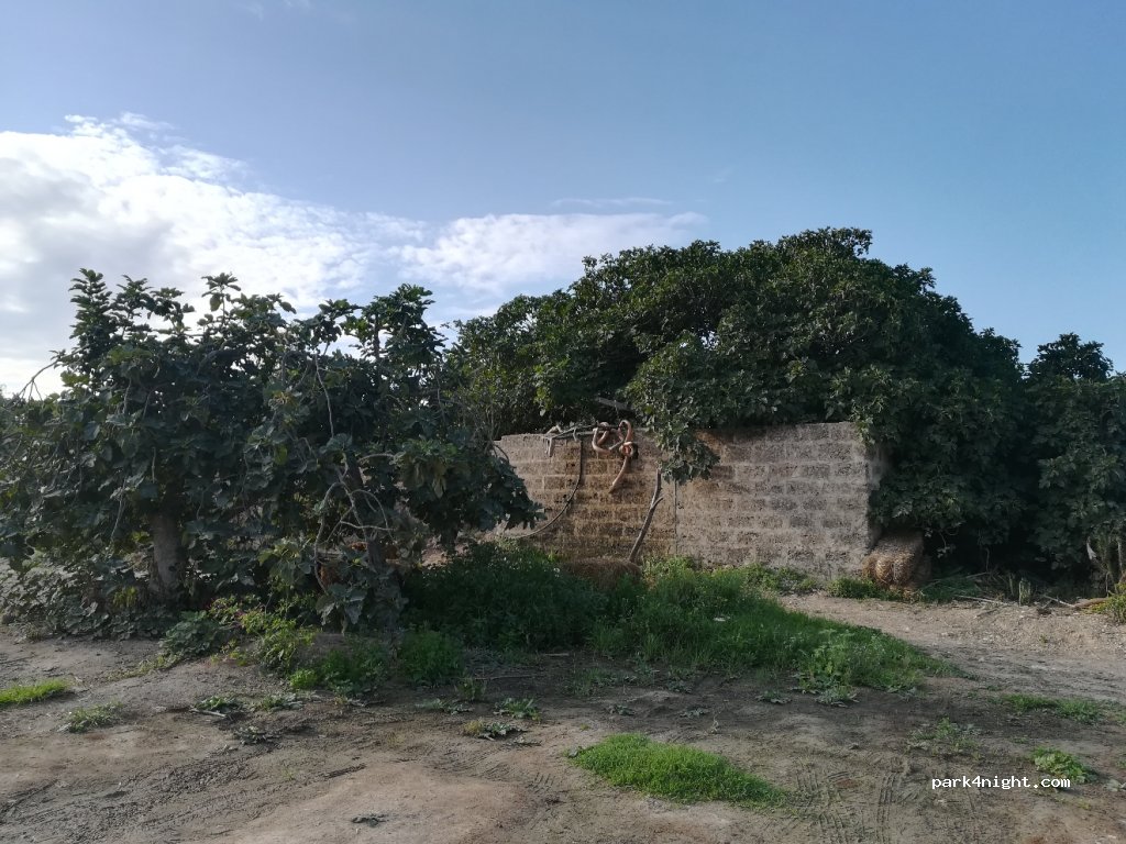 (96017) Noto - Contrada Marianelli — foto