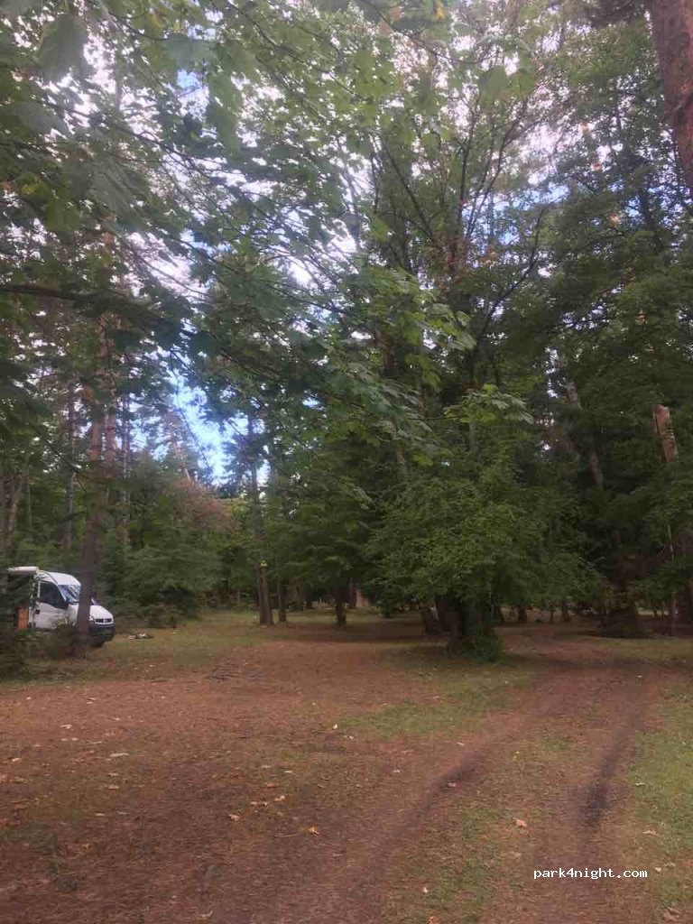 () Borzhomi - Borjomi-Baghi-Tba-Tsemi — foto 2