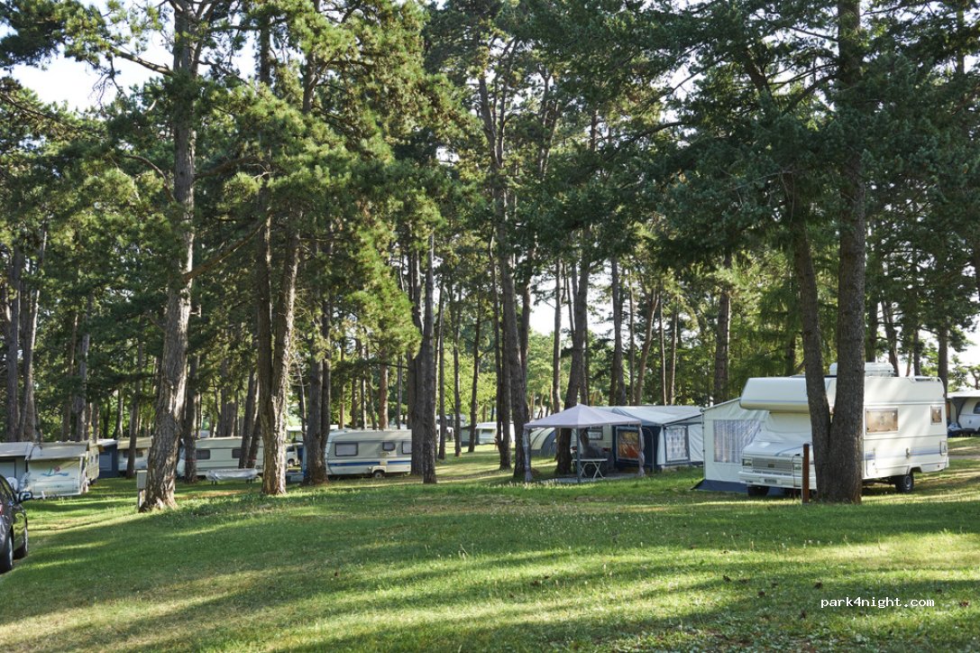 TCS Camping Orbe — foto 4