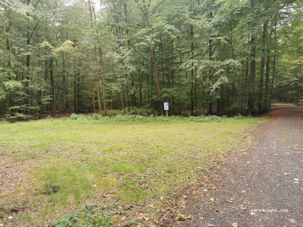 (97453) Schonungen - SW5 — foto