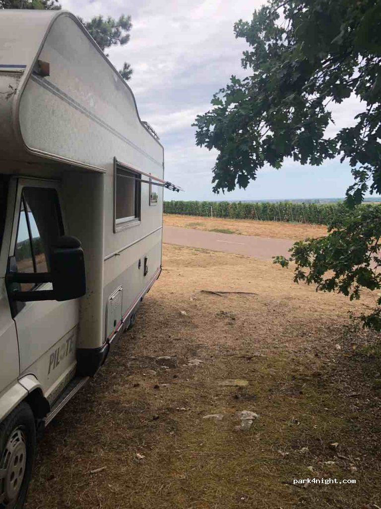 (21190) Puligny-Montrachet - Unnamed Road — foto 3