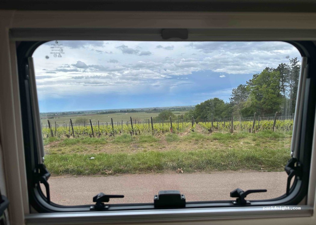 (21190) Puligny-Montrachet - Unnamed Road — foto 4