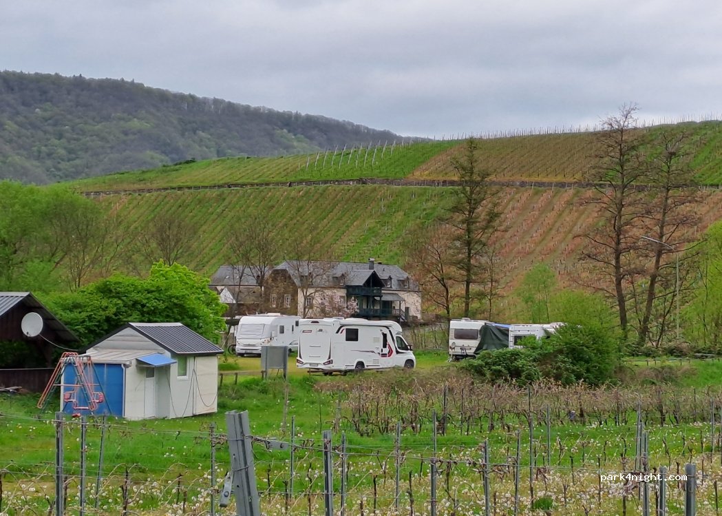 Neumagen/Drohn — foto
