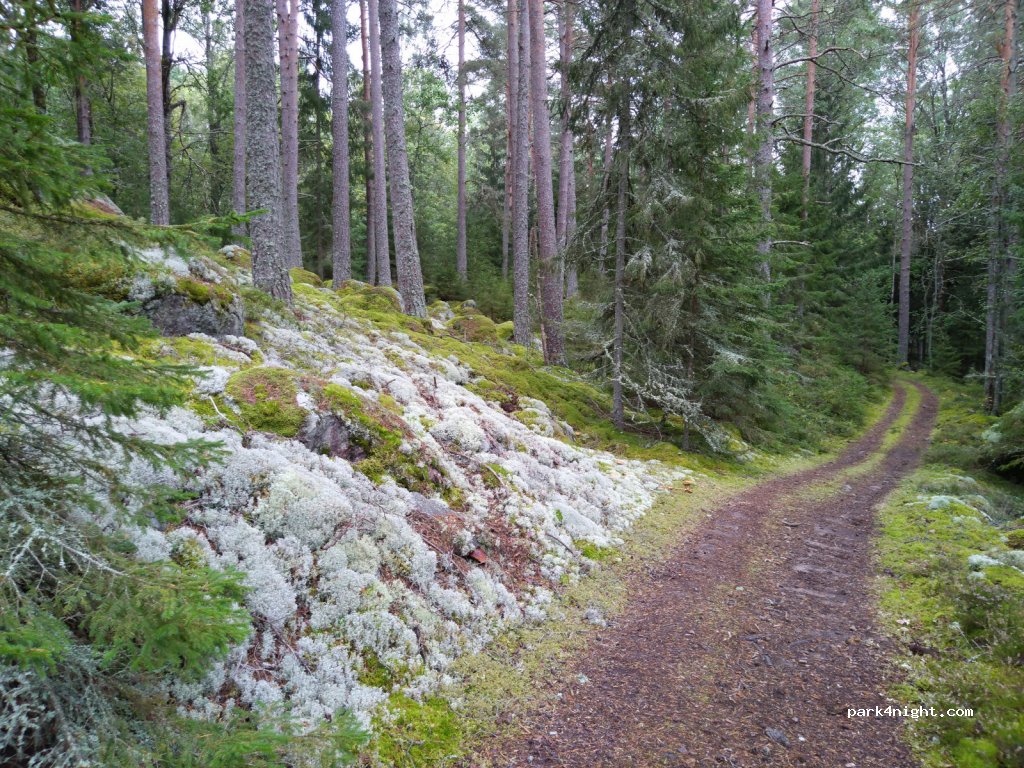 (695 94)  - Unnamed Road — foto 3