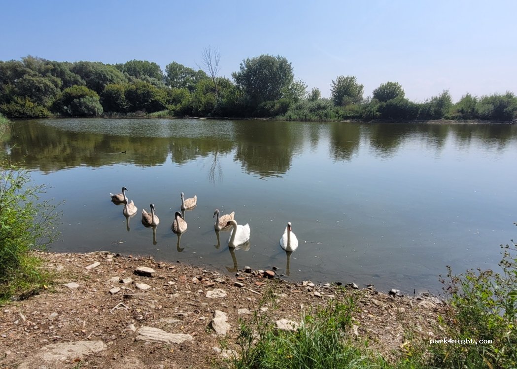(696 17) Dolní Bojanovice - Unnamed Road — foto 4