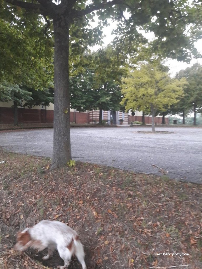 (15040) Occimiano - 6 Strada Alessandria — foto