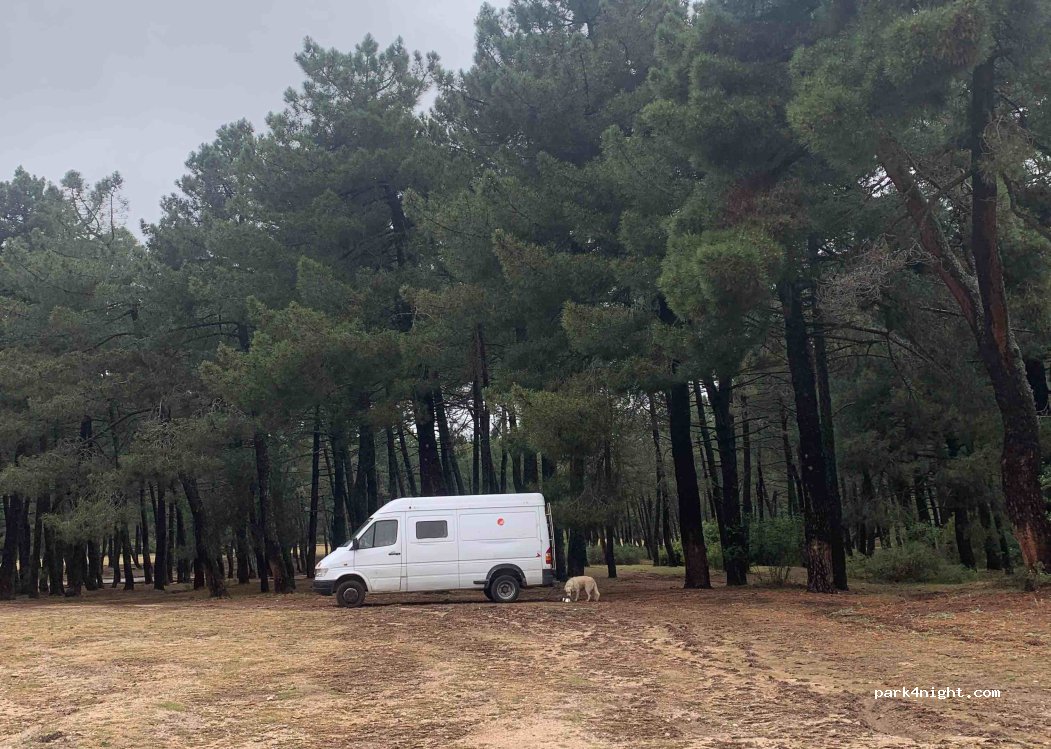 (28440) Guadarrama - Carretera de La Jarosa — foto 3