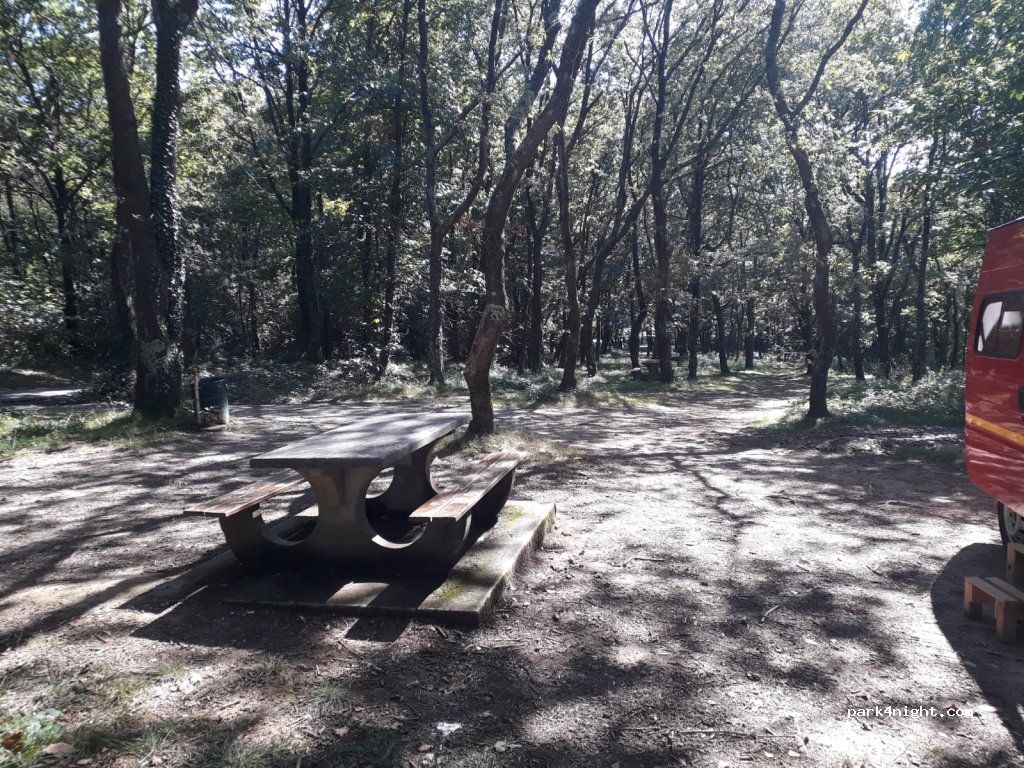 (64230) Sauvagnon - Chemin du Bois — foto 2