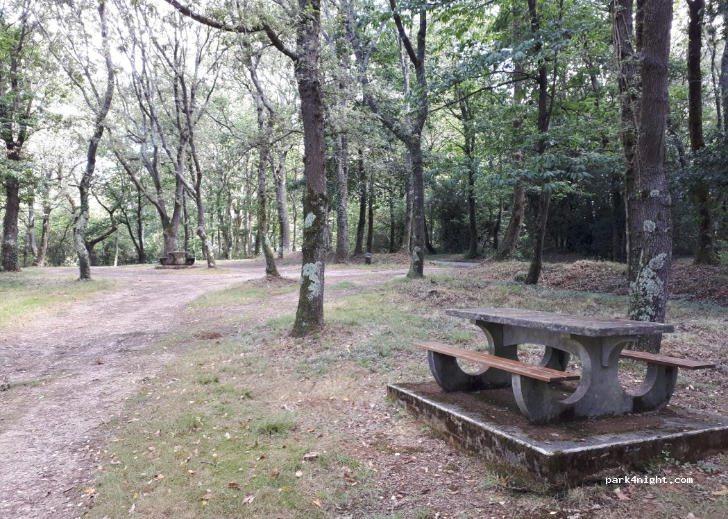 (64230) Sauvagnon - Chemin du Bois — foto 3