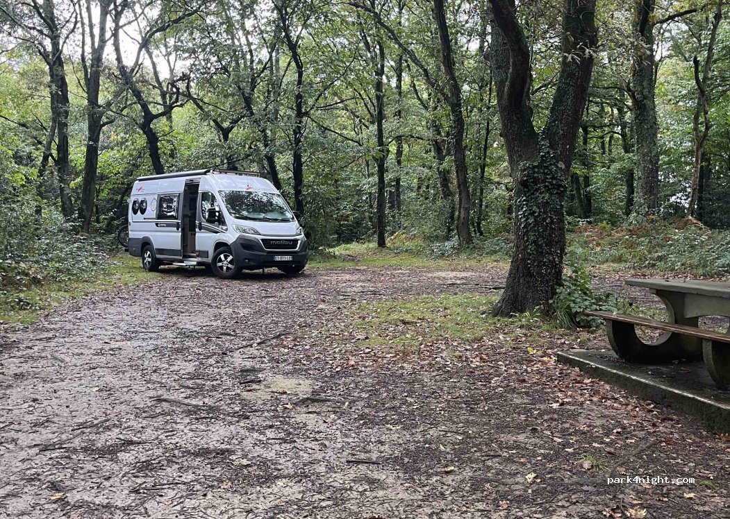 (64230) Sauvagnon - Chemin du Bois — foto 5