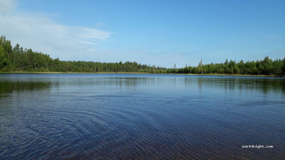 RMK Liivjärve lõkkekoht — foto 3
