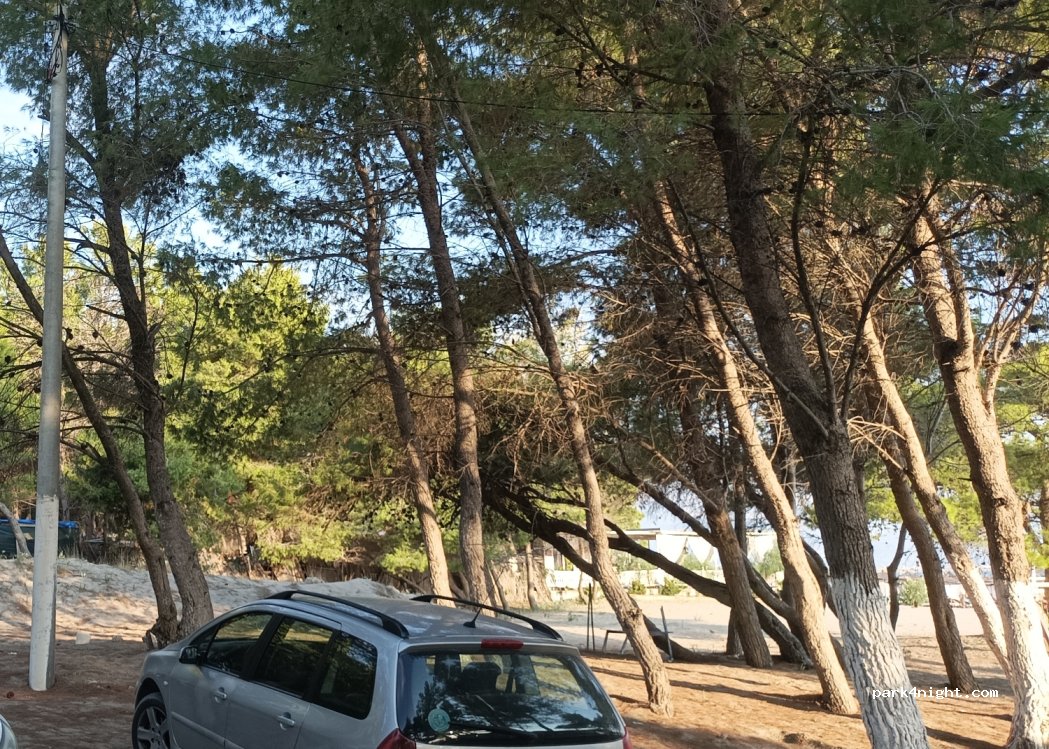 Restorant Alimuçi — foto 4